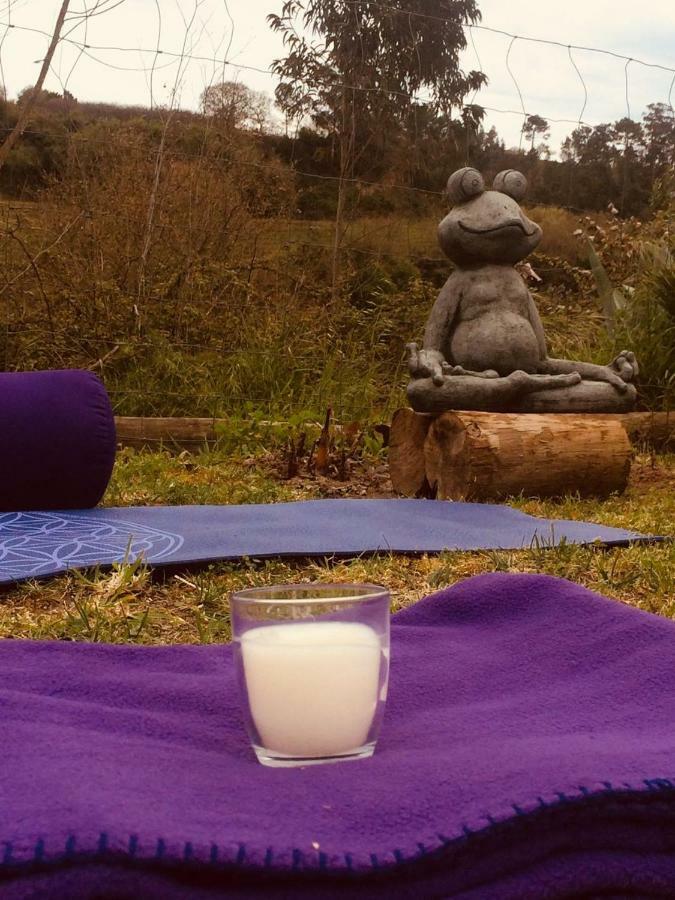 Quinta Da Vida Serena Gaio Dış mekan fotoğraf